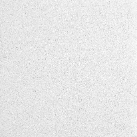 Armstrong Lyra Plant Based 12"x48"x1"IL